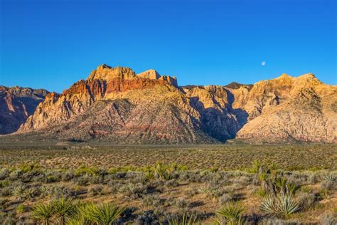 Red Rock Canyon Scenic Drive - The Intrepid Life