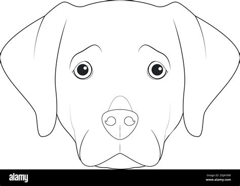 Asistente acoplador Regeneración dibujos perro labrador para colorear ...