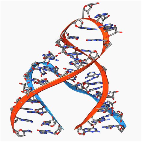 Hammerhead Ribozyme Molecule Photograph by Laguna Design/science Photo ...