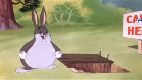 Big Chungus Blank Template - Imgflip