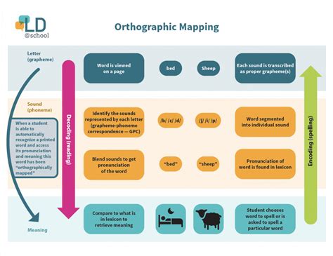 An Introduction to Orthographic Mapping - LD@school