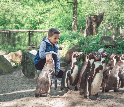 Themeparkzoo - Aqua Zoo Friesland, animal park in The Netherlands