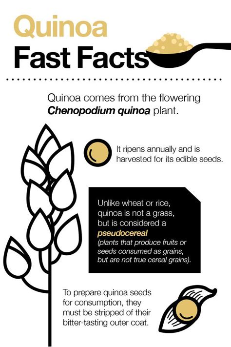 Quinoa Fast Facts | Quinoa nutrition, Protein nutrition, Nutrition facts