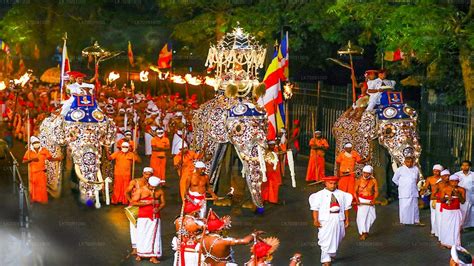 DALADA PERAHARA OVERVIEW.. The “Sri Lanka Dalada Perahera” in… | by Dilshani weerasekara | Medium