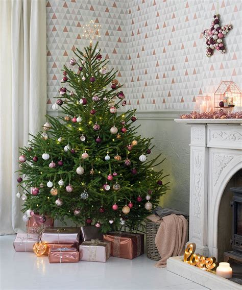 Pick the right real Christmas tree for your home and look after it ...