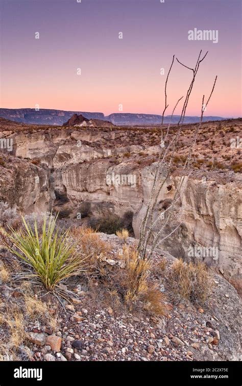 Tuff Canyon with arroyo (dry creek bed) and Santa Elena Canyon in far ...