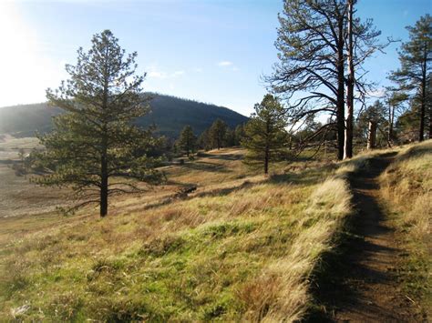 Stonewall Mine (Cuyamaca Rancho State Park)