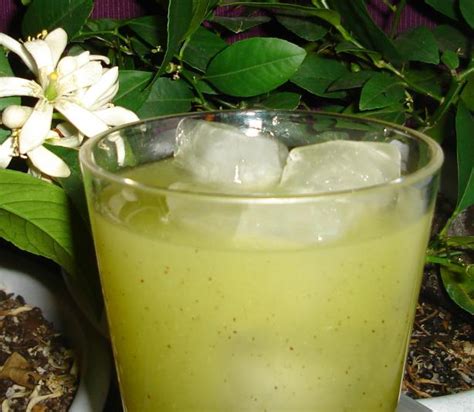 Kiwi Lemonade Recipe - Food.com