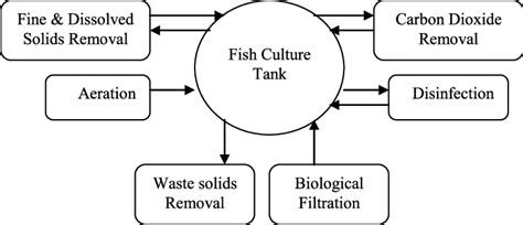 Recirculating aquaculture system components. | Download Scientific Diagram