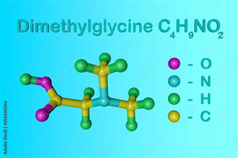 Molecular structure of dimethylglycine. Atoms are represented as spheres with color coding ...