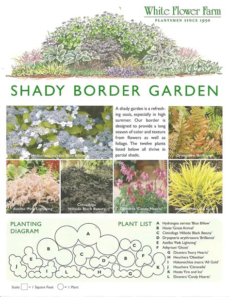 Shade Garden Layout Plan - Image to u