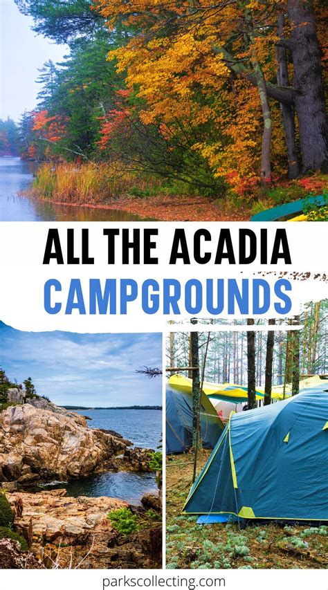 All the Acadia National Park Campgrounds | Acadia national park camping, National parks trip ...