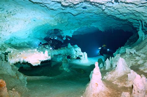 Cave diving at its best! Cave Photography, Underwater Caves, Cave System, Cave Diving, Cenotes ...