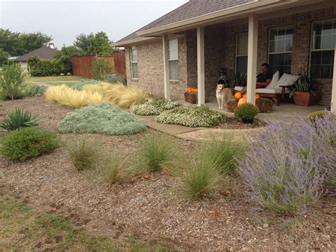 Drought Resistant Landscape. This North Texas landscape was planted in the spring. This is early ...