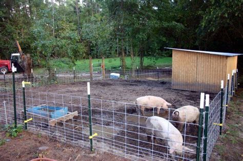 Click this image to show the full-size version. | Pig fence, Hog farm, Pig pen