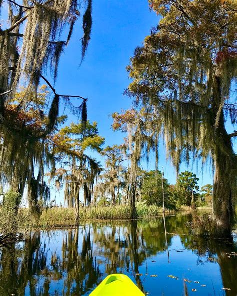 Bayou Adventure