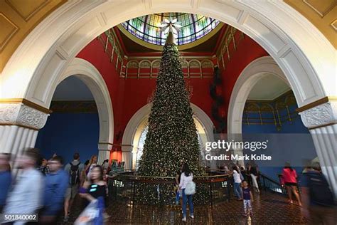 Qvb Christmas Tree Photos and Premium High Res Pictures - Getty Images