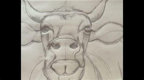 Sketch of a Cow ..... MOO! - YouTube