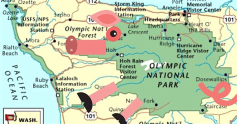 Olympic National Forest vs Olympic National Park (Info and Details)