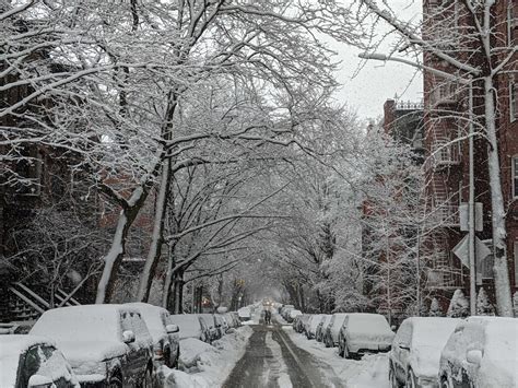 NYC Weather: 'Significant' Snow, Sleet Expected This Week | New York ...