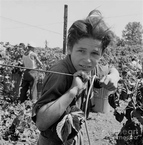 An American Boy Photograph by Celestial Images - Fine Art America