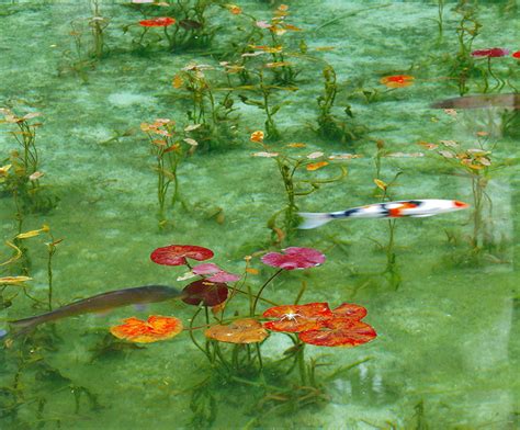 Monet’s pond – painting comes to life | VISIT GIFU