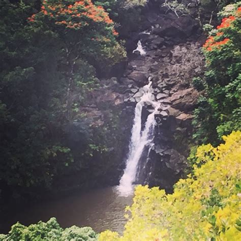 Rappel Maui Waterfalls and Rainforest Cliffs 2021