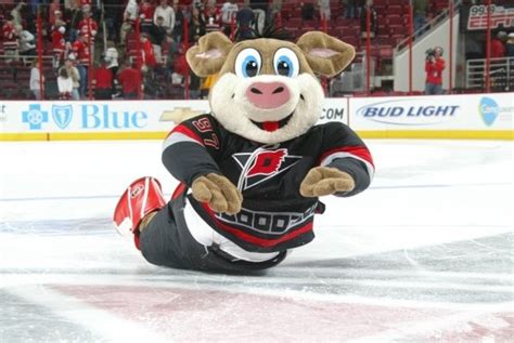 17 Best images about Hockey Mascots on Pinterest | Vancouver canucks ...