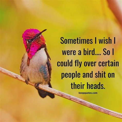 Sometimes I wish I were a bird | Love birds quotes, Funniest quotes ...