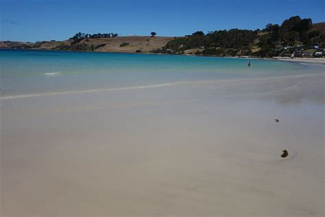 Flickriver: Most interesting photos from Boat Harbour Beach, Tasmania ...