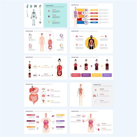 Anatomy Powerpoint Fully Editable Templates Medical Powerpoint ...