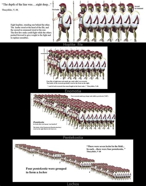 The Spartan tactical structure, according to Xenophon was the enōmotia ...