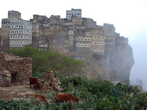 herbn hoe: Socotra Island