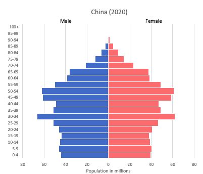 China's Population Pyramid