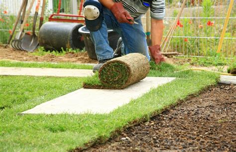 Laying Sod for a New Lawn | ThriftyFun