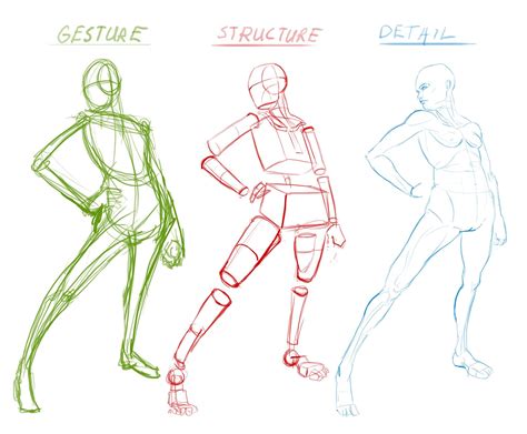 Gesture Drawing Anatomy Drawing Anatomy Art Drawing Base Drawing ...