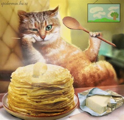 Kitten Pancakes GIF - Kitten Pancakes Waiting - Discover & Share GIFs