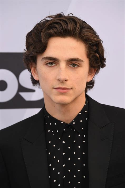 Timothée Chalamet | Timothee chalamet, Hairstyle, Boys long hairstyles