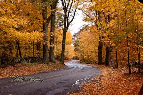 A Tree Lined Road with Fall Foliage - New England Fall Foliage