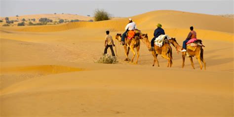 Desert Safari in Jaisalmer Rajasthan