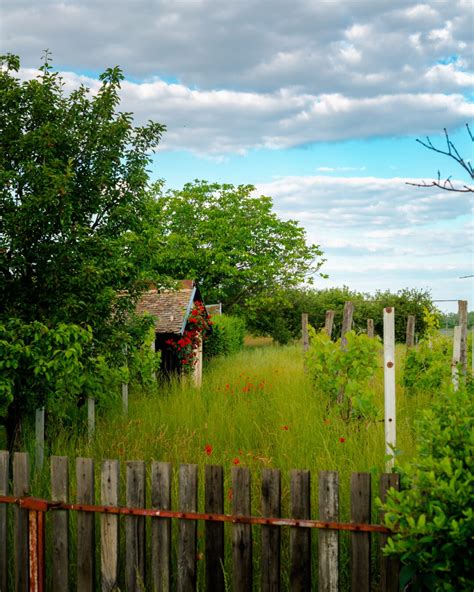 Free picture: farmhouse, farm, abandoned, rural, orchard, landscape, tree, picket fence, fence ...