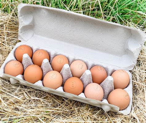 Large (Organic Pastured) Dozen Eggs - 600 gms (Freestone Valley Farms ...