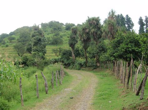 File:Batumi Country Road.jpg