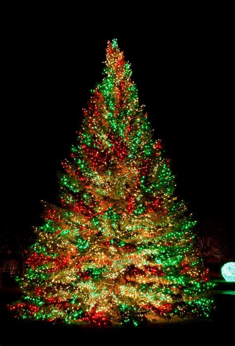 30 Christmas Lights Decorations on Trees - Decoration Love