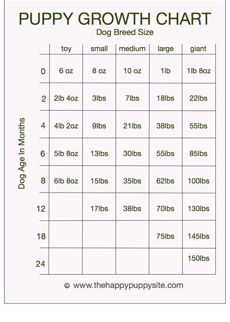 Puppy Development Stages with Growth Charts and Week by Week Guide ...