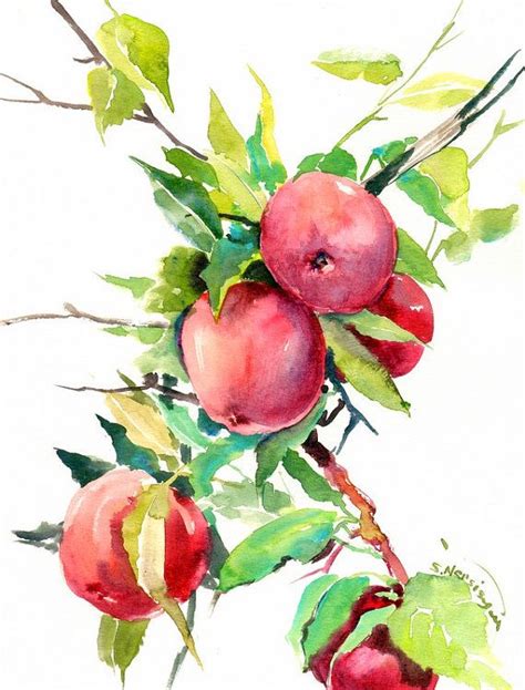 Apple Tree Watercolor at GetDrawings | Free download