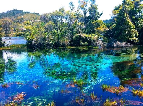 Te Waikoropupu (Pupu) Springs, Golden Bay, South Island, N… | Flickr