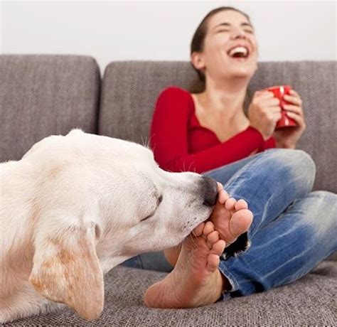 Dog Licking Asian – Telegraph