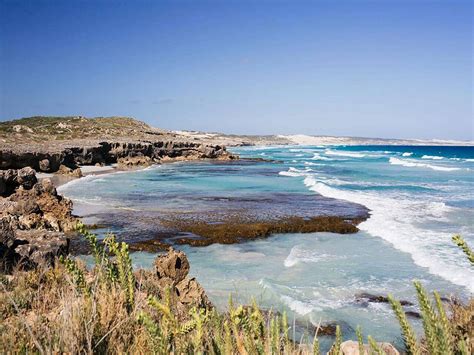 Exceptional Port Lincoln, Seafood and Wildlife Tour - Australian Coastal Safaris