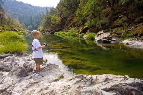 Fishing in TRINITY RIVER: The Complete Guide